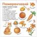 Набір РОЗУМНИЙ МАЛЮК: Вивчаємо Кольори слова цифри + Тактильна книга. Іго-го, хрю-хрю, ква-ква Набір РОЗУМНИЙ МАЛЮК: Вивчаємо Кольори слова цифри + Тактильна книга. Іго-го, хрю-хрю, ква-ква